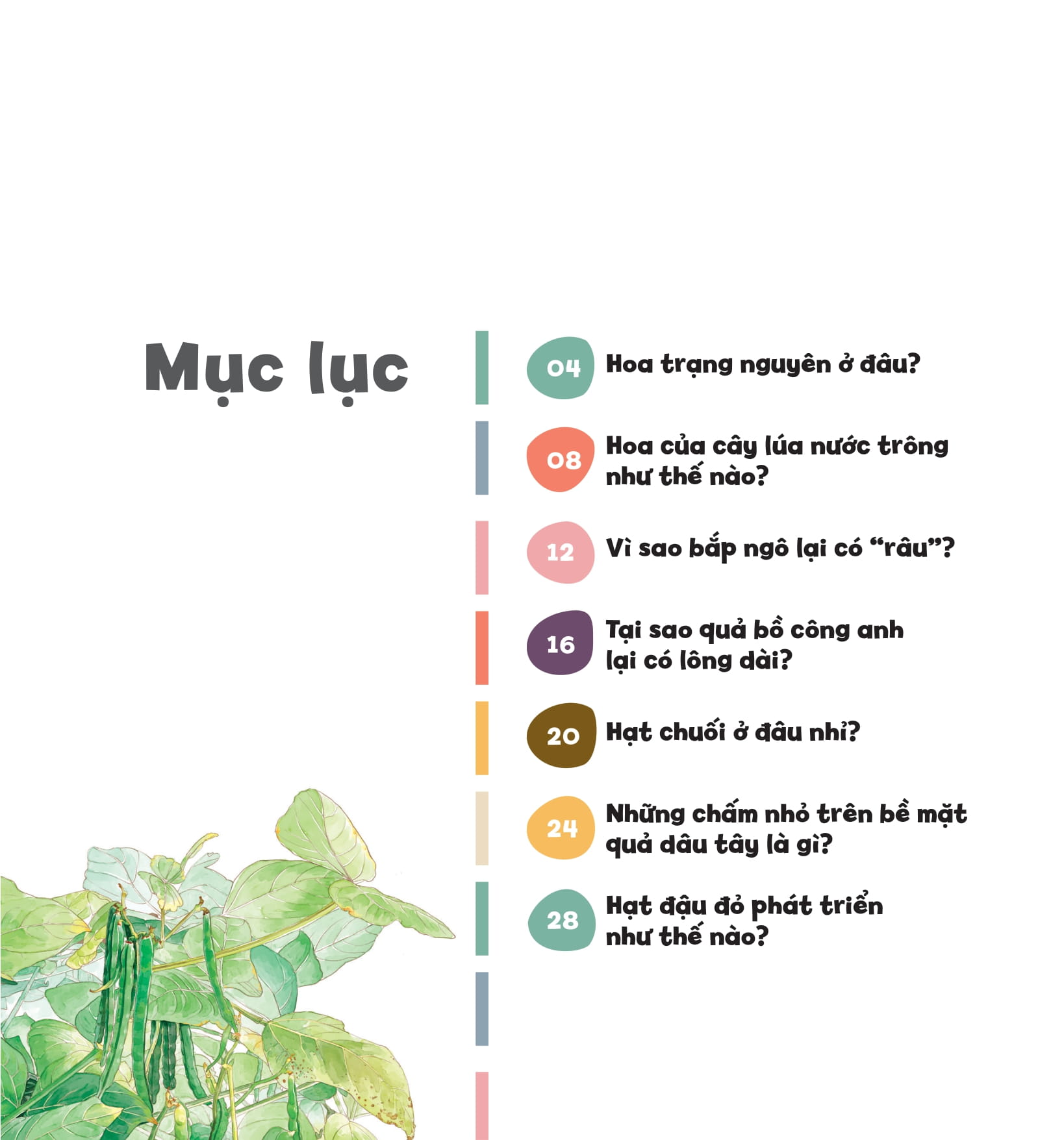 wow, thì ra là thế! - sự sinh trưởng của thực vật