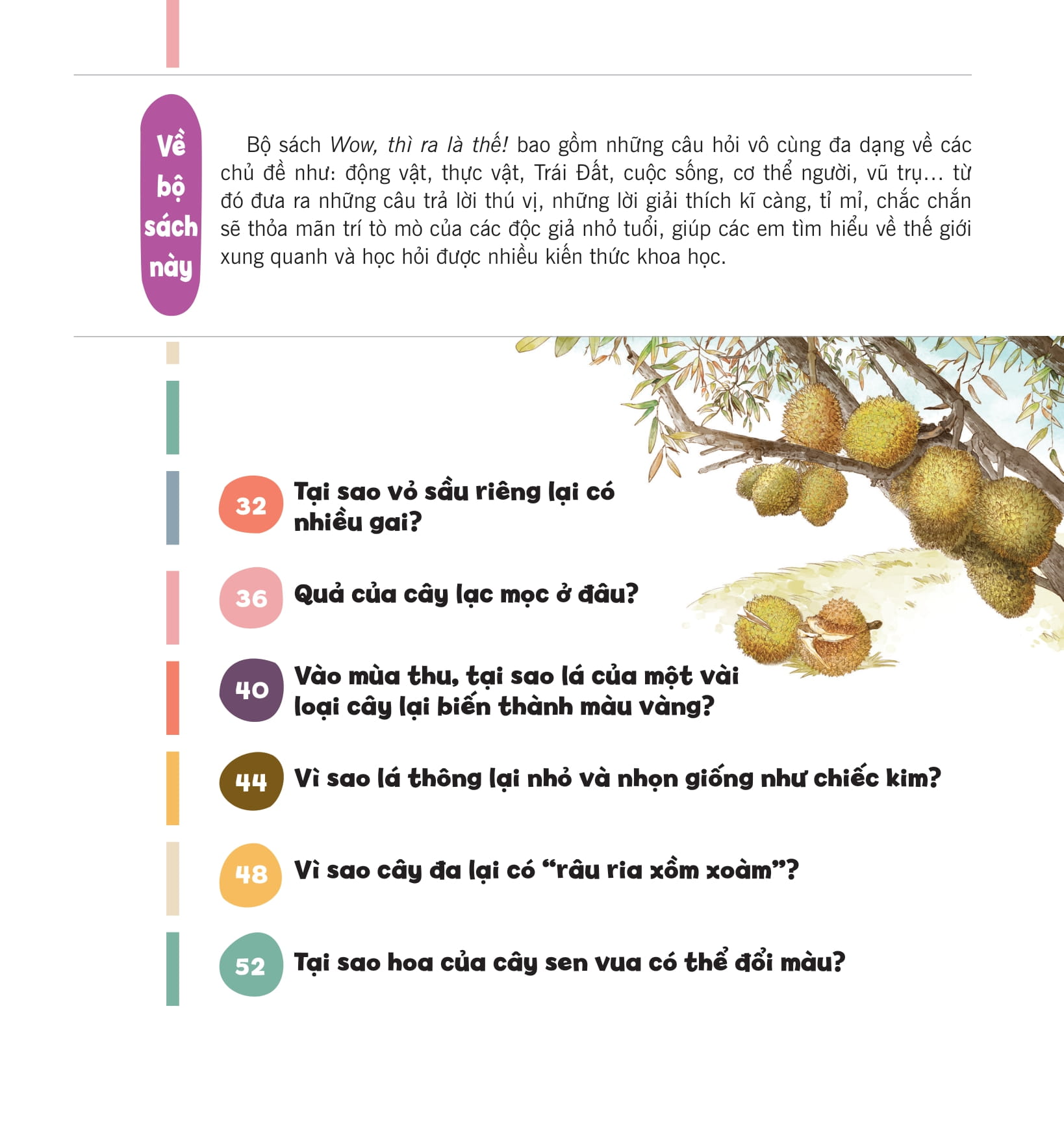 wow, thì ra là thế! - sự sinh trưởng của thực vật