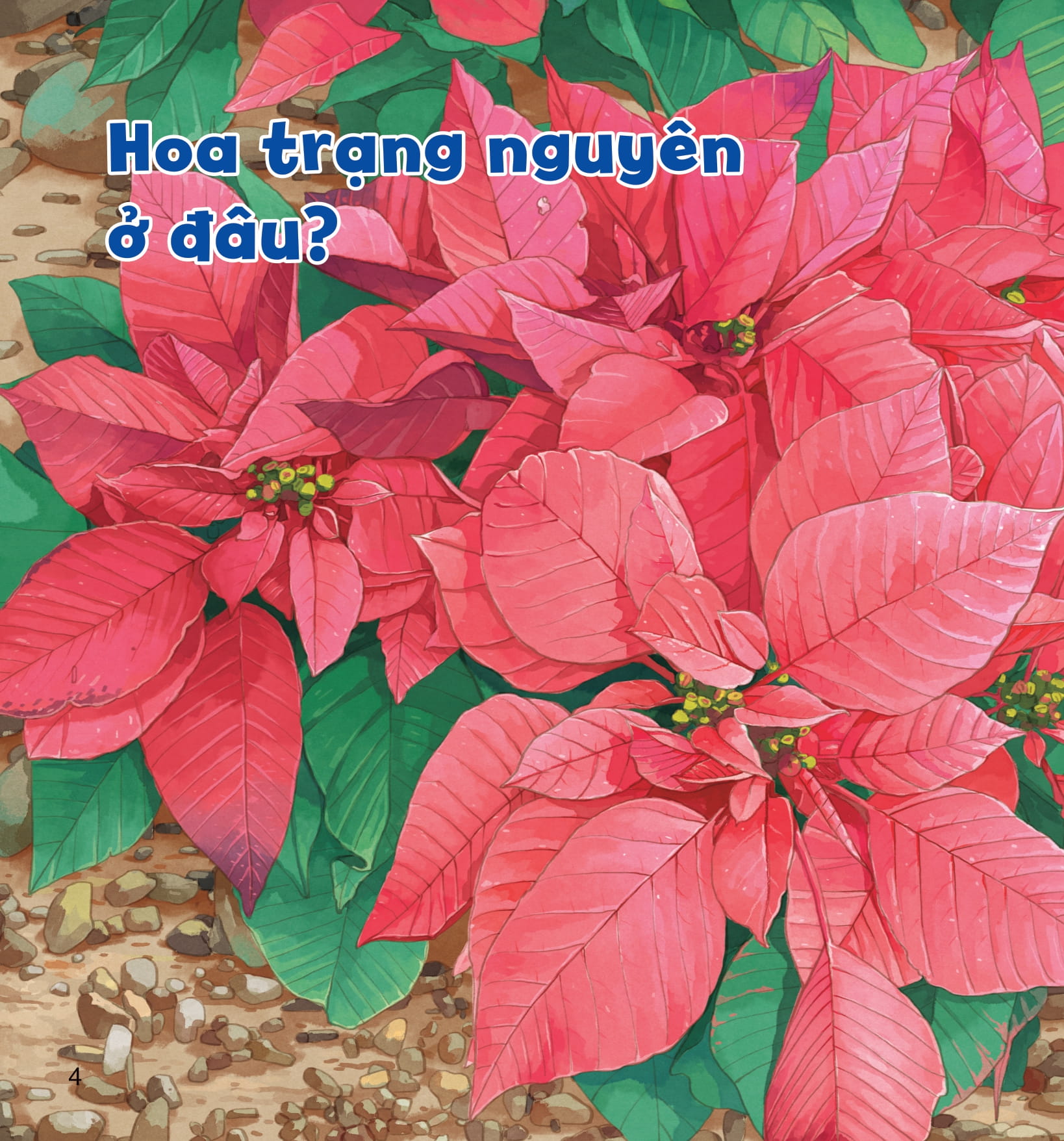 wow, thì ra là thế! - sự sinh trưởng của thực vật