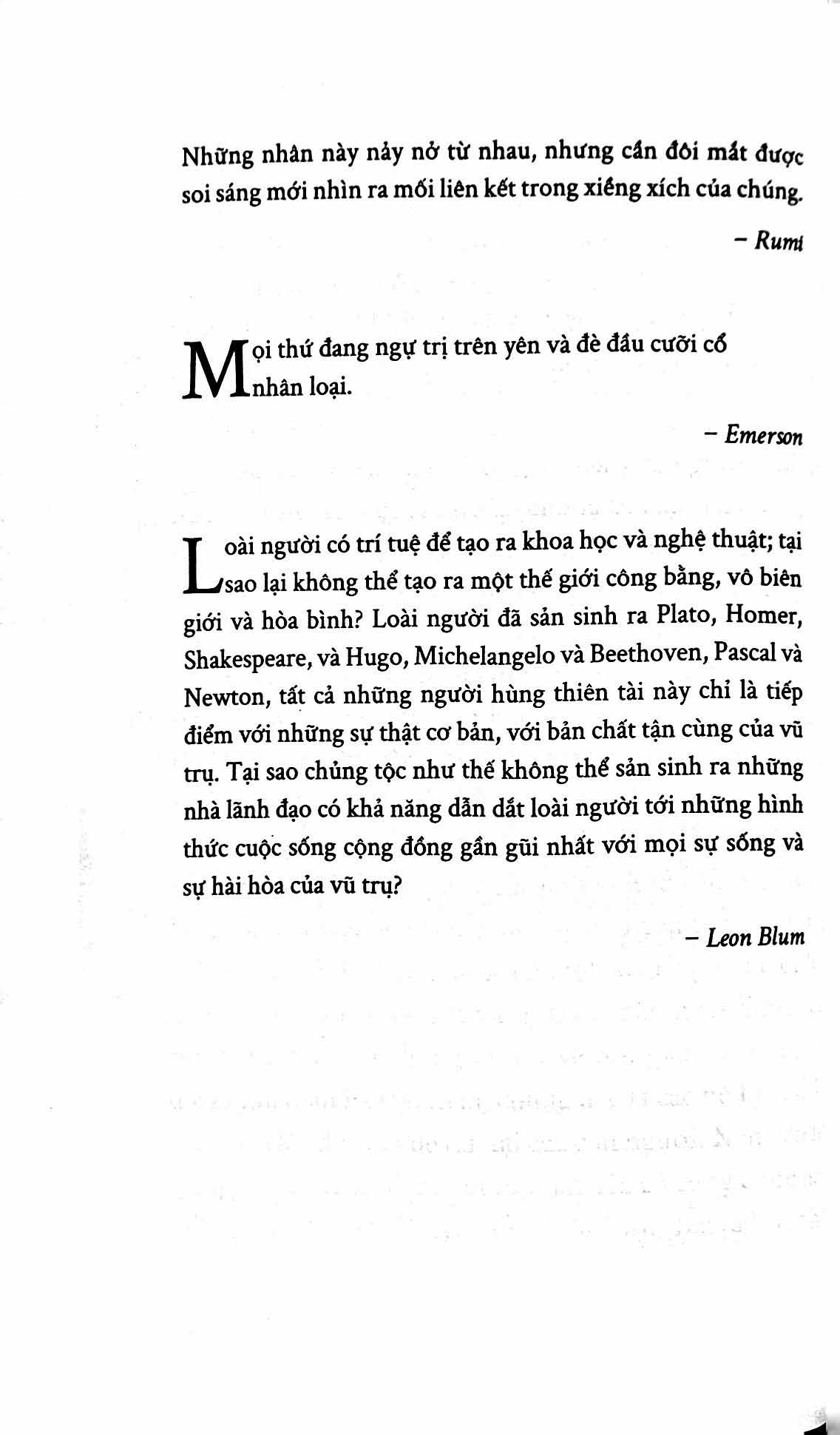 xã hội tỉnh táo