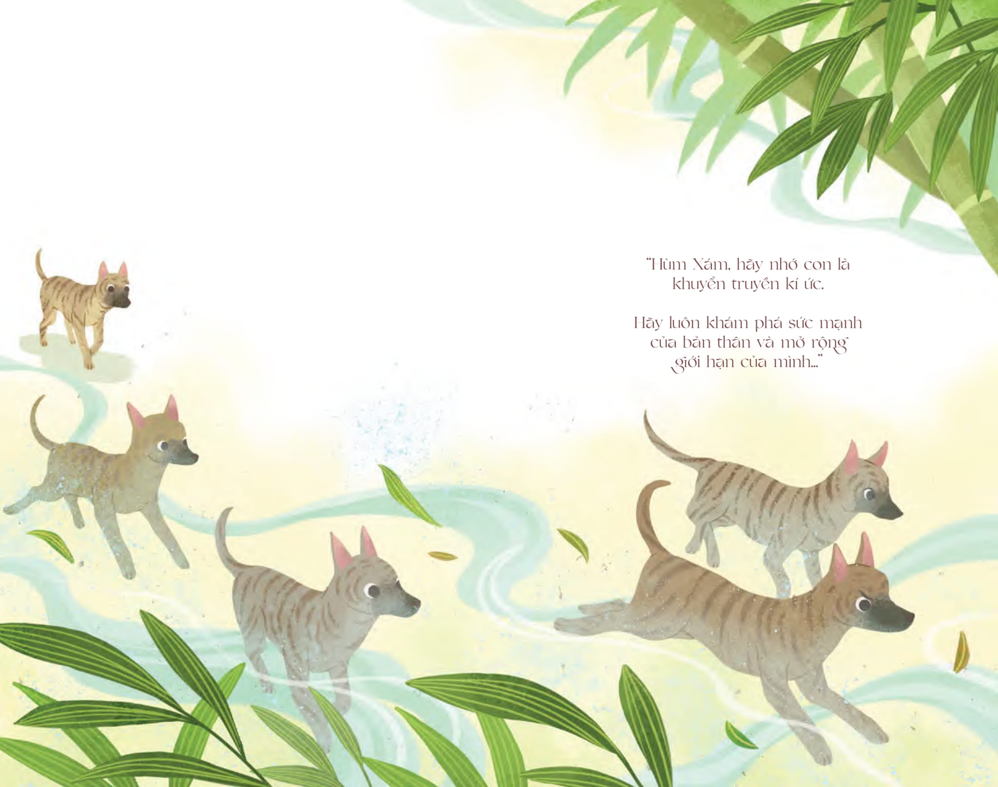 xám ngố đi thành phố