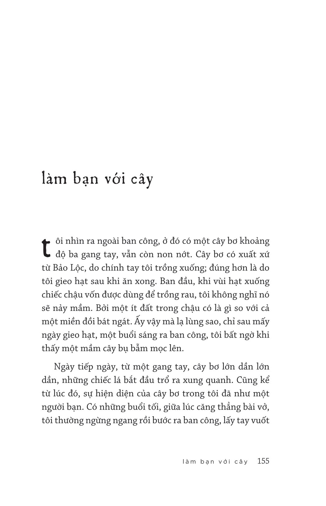 xin chào ngày nắng đẹp