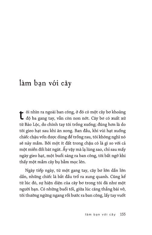 xin chào ngày nắng đẹp