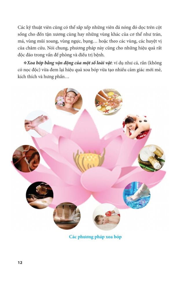 Xoa Bop (Tai Ban 2022)