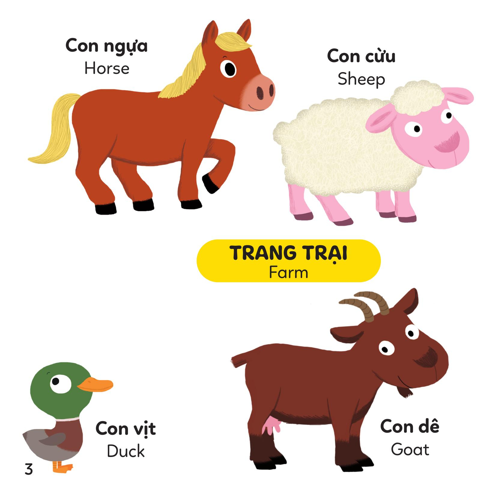 xoay xoay xoay đi tìm - động vật - bìa cứng