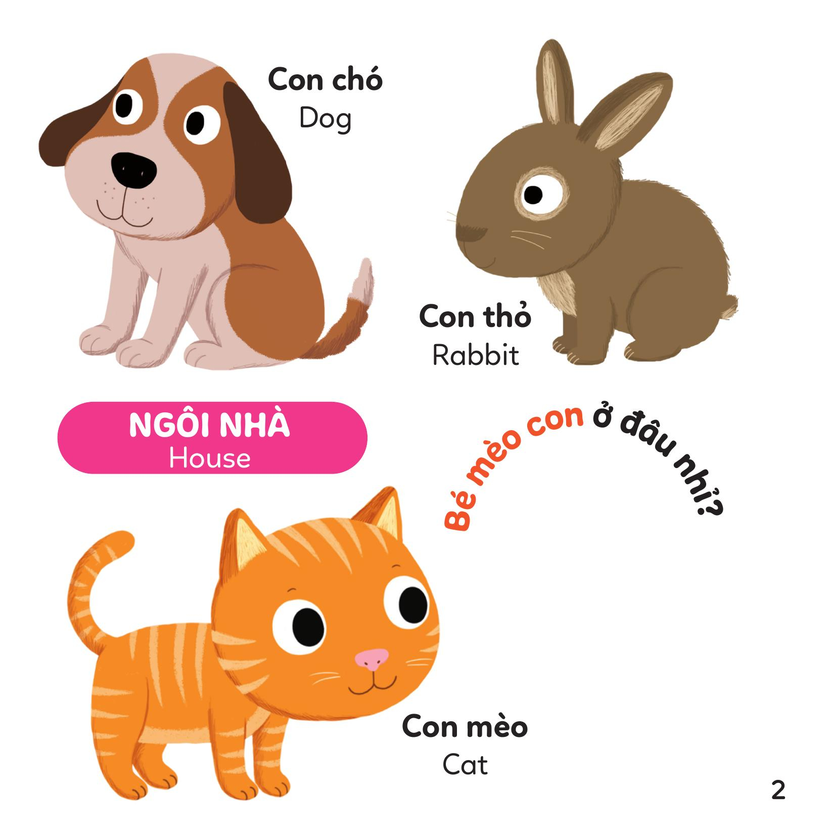 xoay xoay xoay đi tìm - động vật - bìa cứng