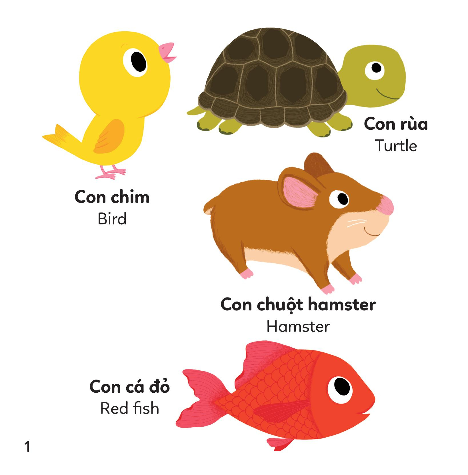 xoay xoay xoay đi tìm - động vật - bìa cứng