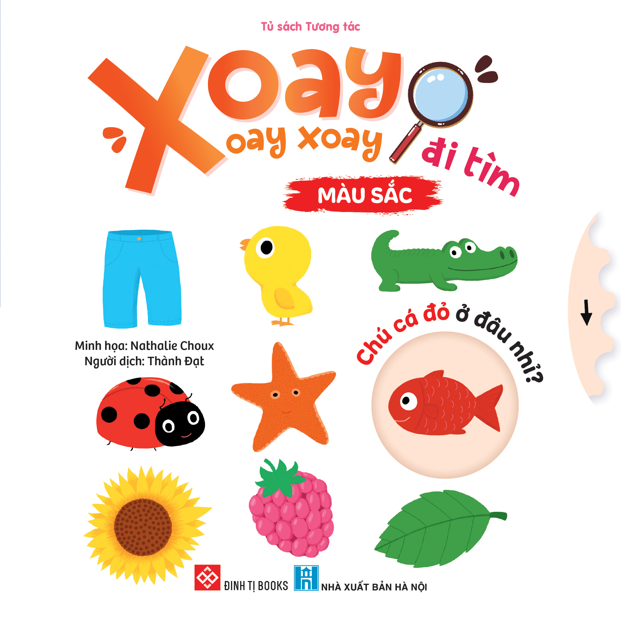 xoay xoay xoay đi tìm - màu sắc - bìa cứng