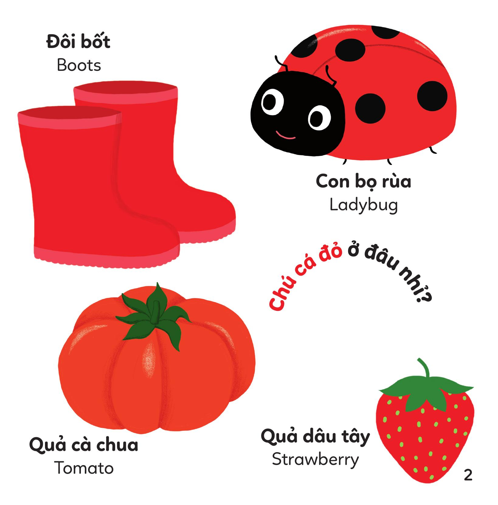 xoay xoay xoay đi tìm - màu sắc - bìa cứng