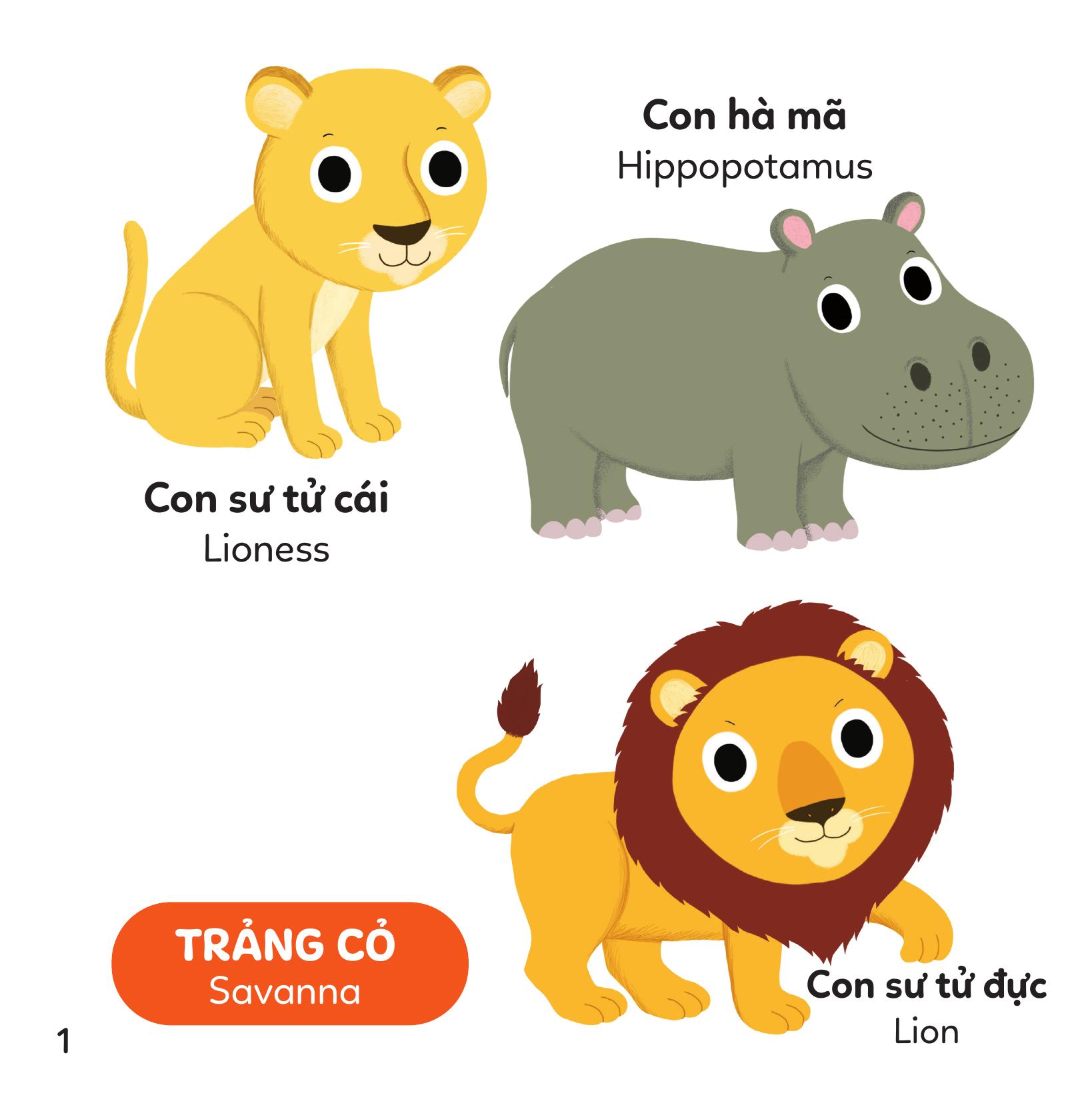 Xoay Xoay Xoay Đi Tìm - Vườn Thú - Bìa Cứng