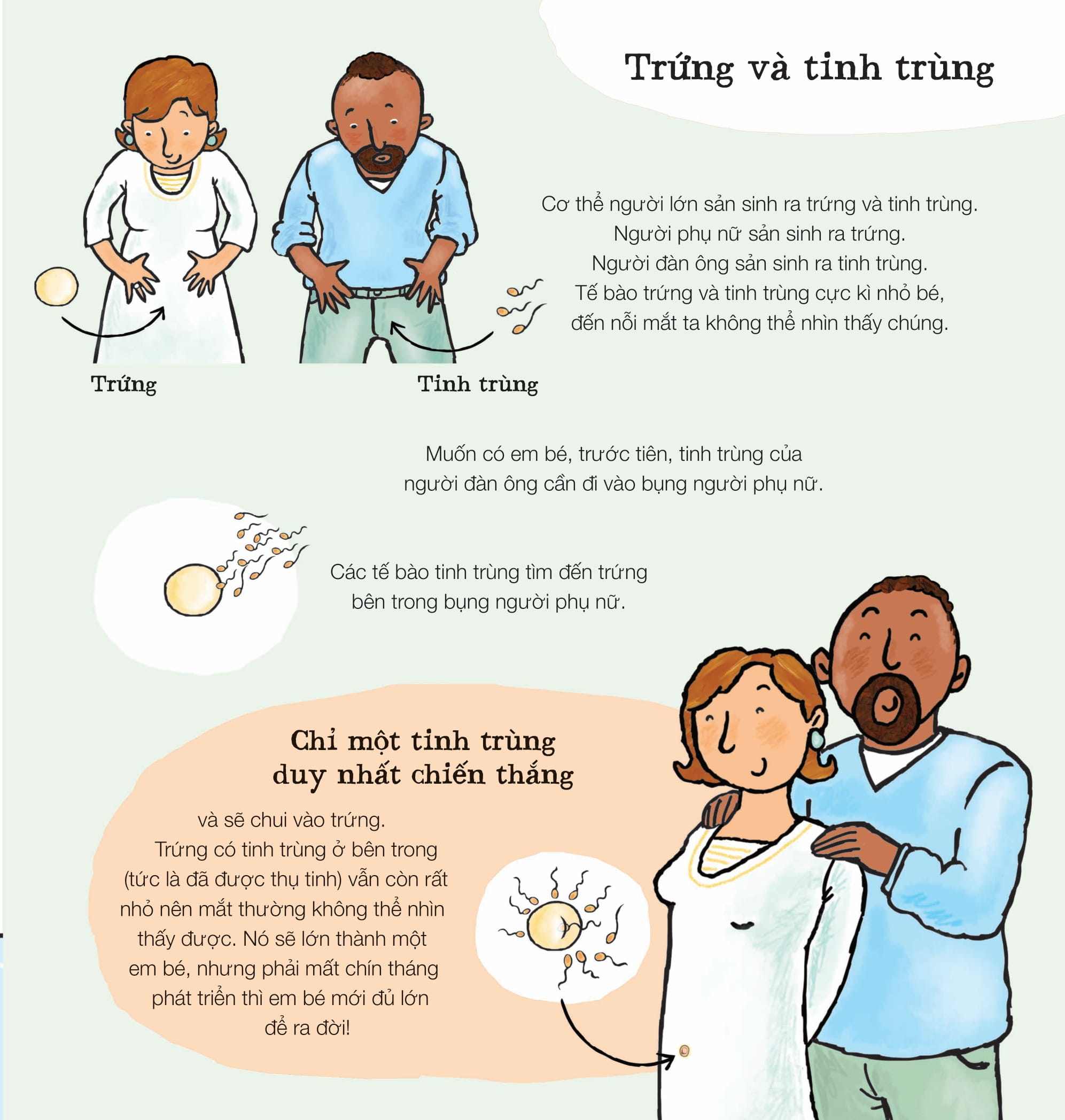 xôn xao đầu đời - em bé từ đâu đến