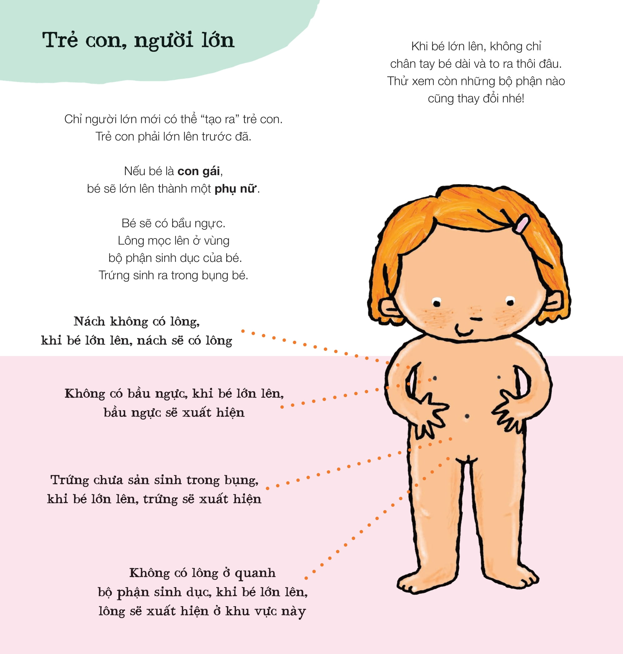 xôn xao đầu đời - em bé từ đâu đến