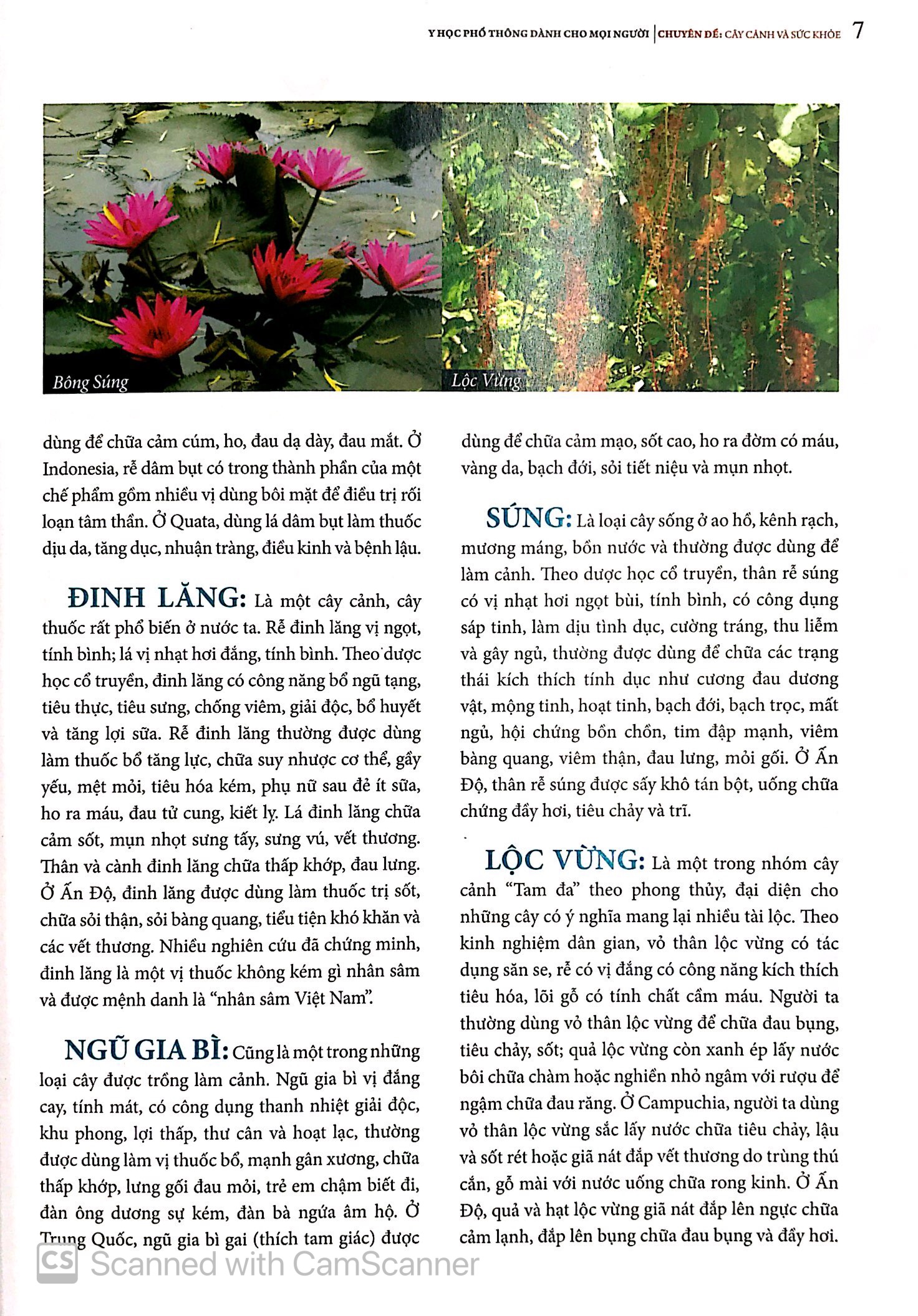 y học phổ thông dành cho mọi người - chuyên đề: cây cảnh và sức khỏe