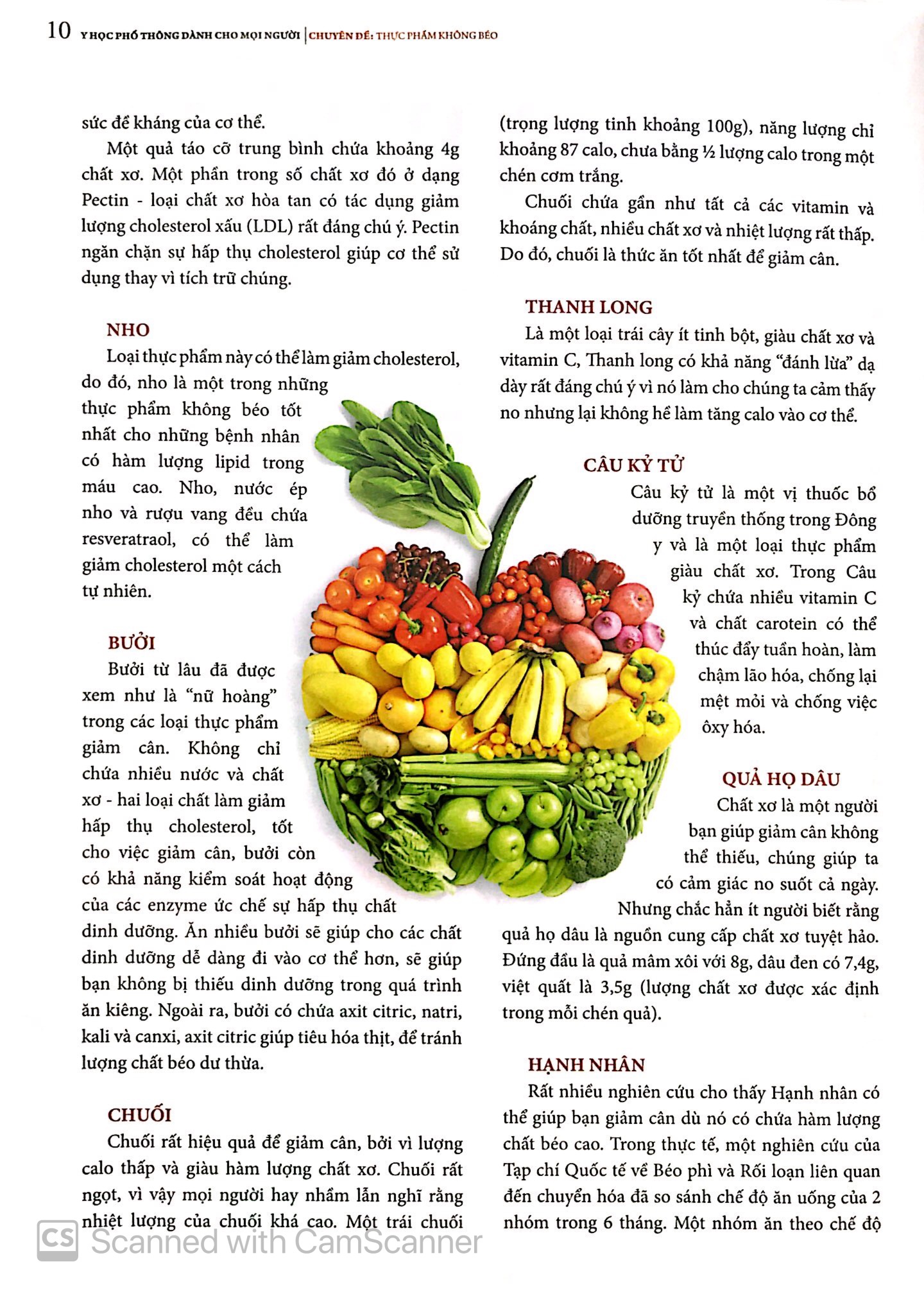 y học phổ thông dành cho mọi người - chuyên đề: thực phẩm không béo