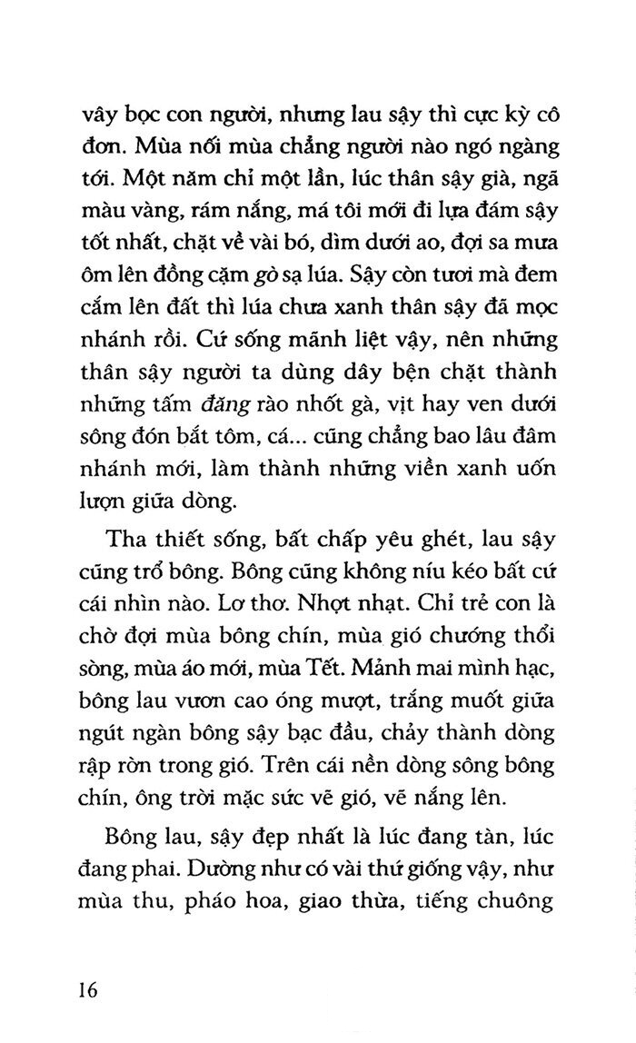 yêu người ngóng núi