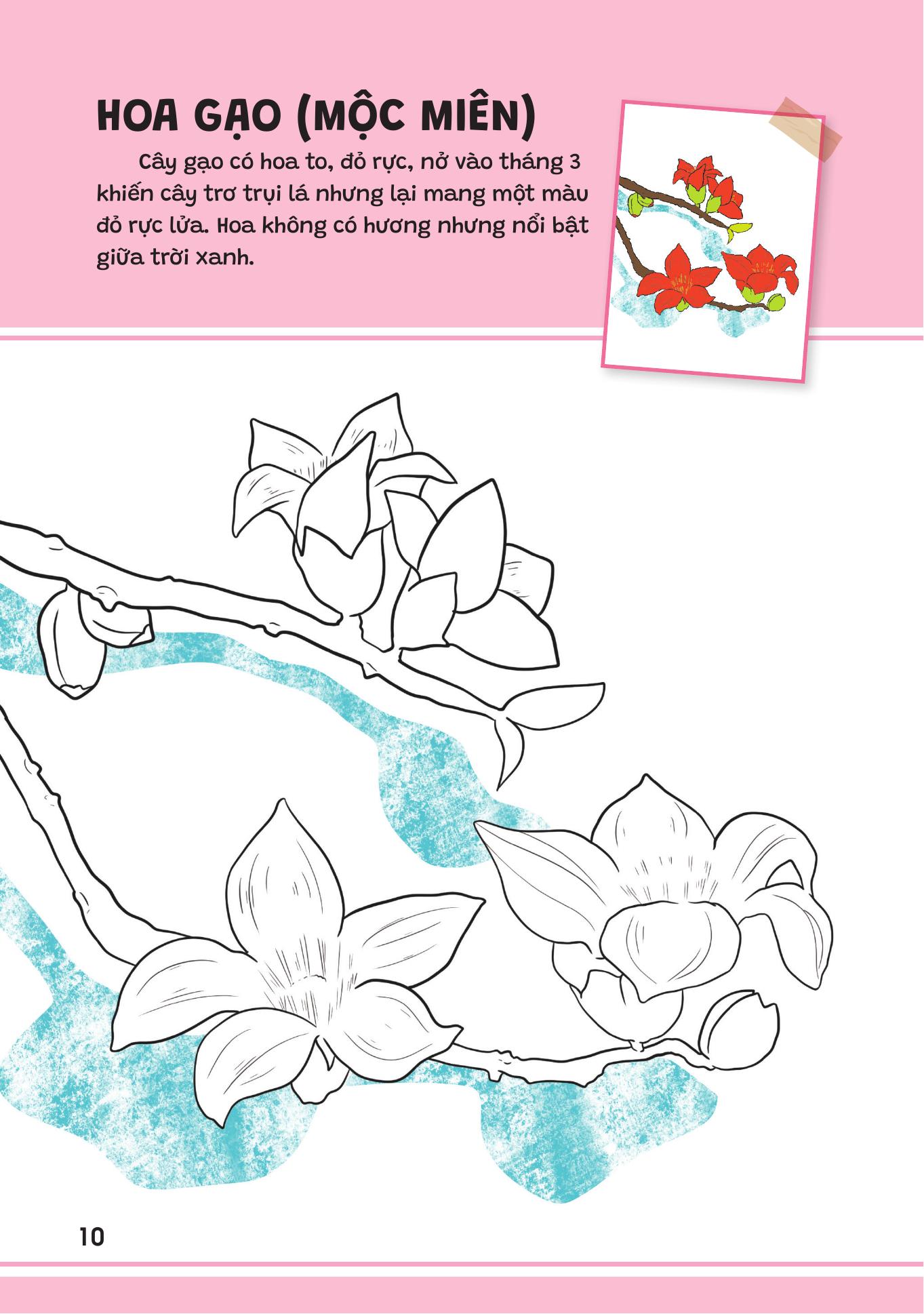 Yeu Qua Viet Nam - Cac Loai Hoa