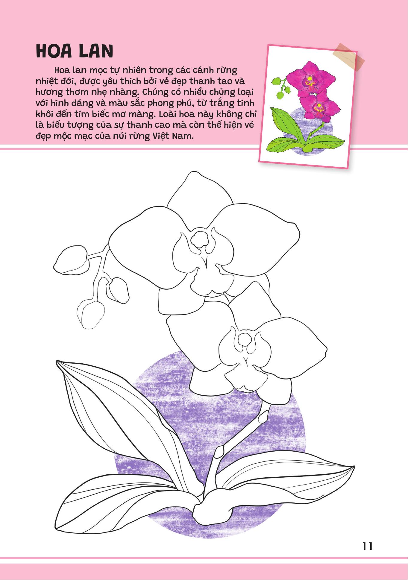 Yeu Qua Viet Nam - Cac Loai Hoa