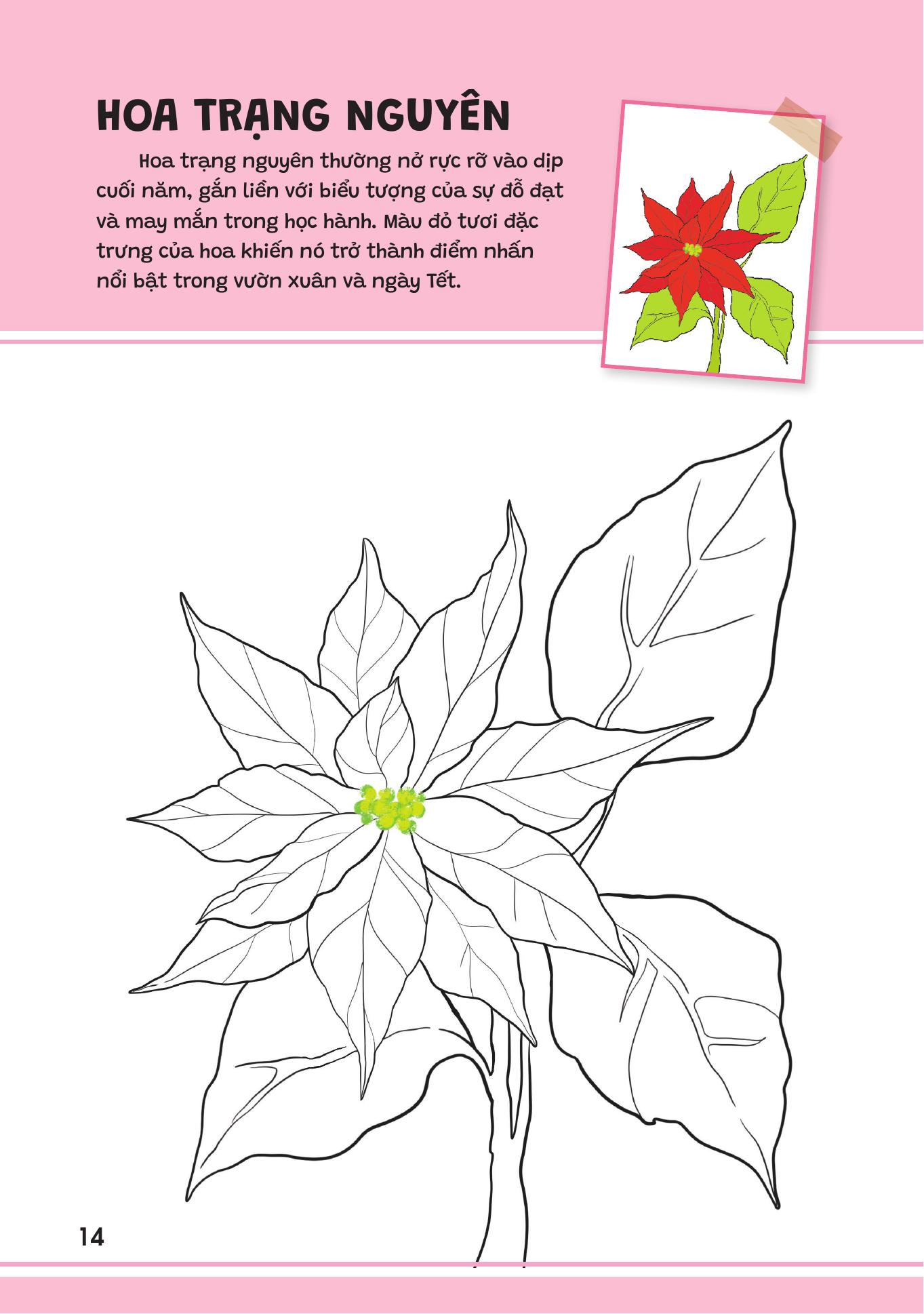 Yeu Qua Viet Nam - Cac Loai Hoa