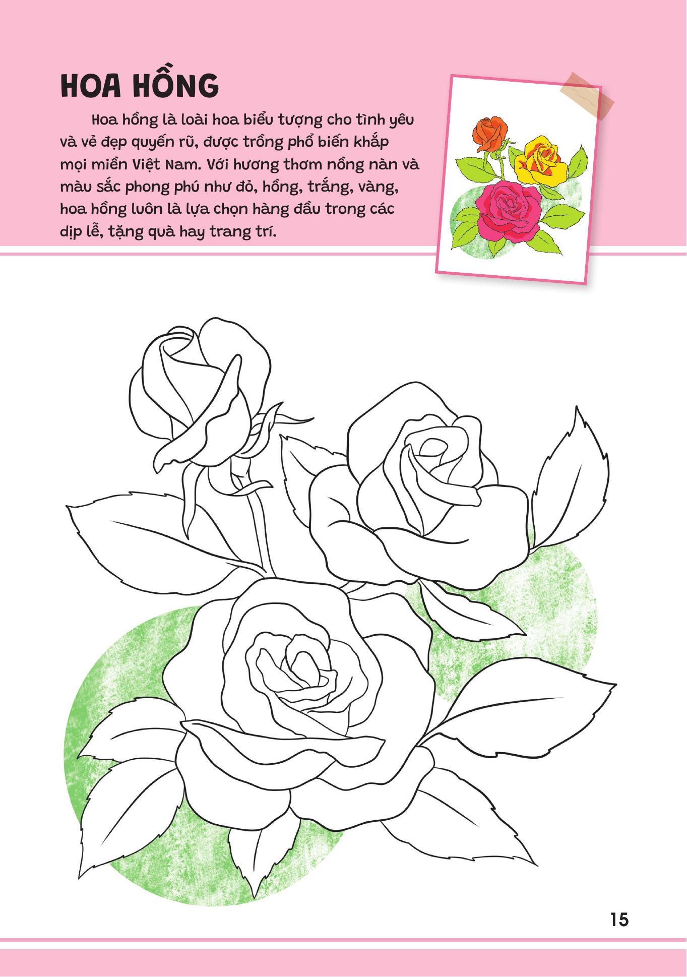 Yeu Qua Viet Nam - Cac Loai Hoa