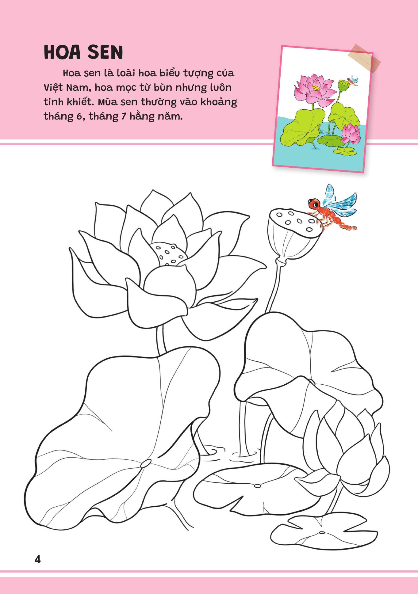 Yeu Qua Viet Nam - Cac Loai Hoa