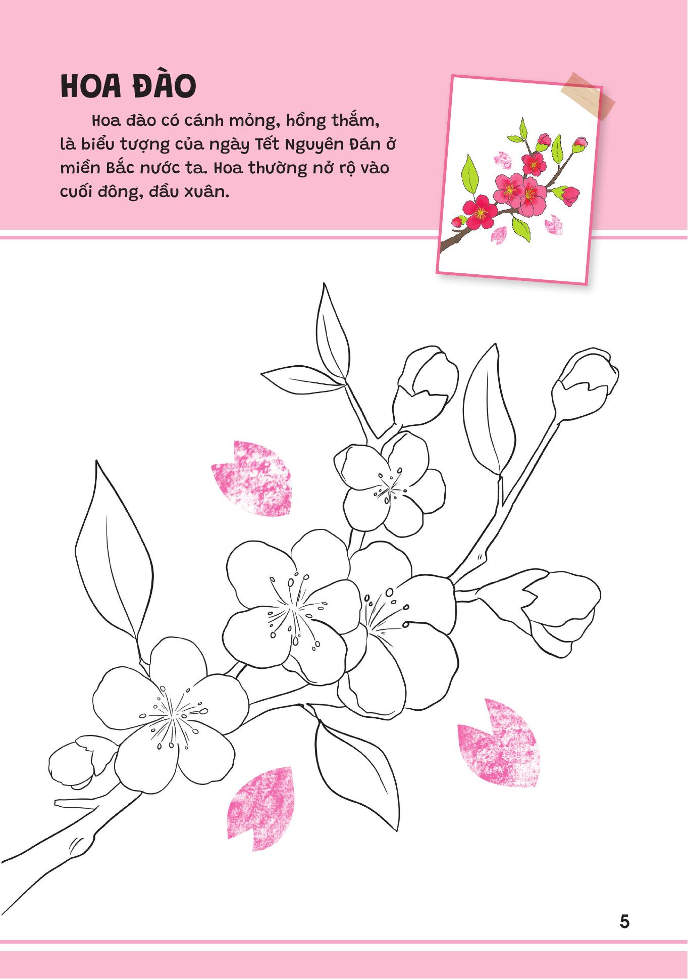 Yeu Qua Viet Nam - Cac Loai Hoa