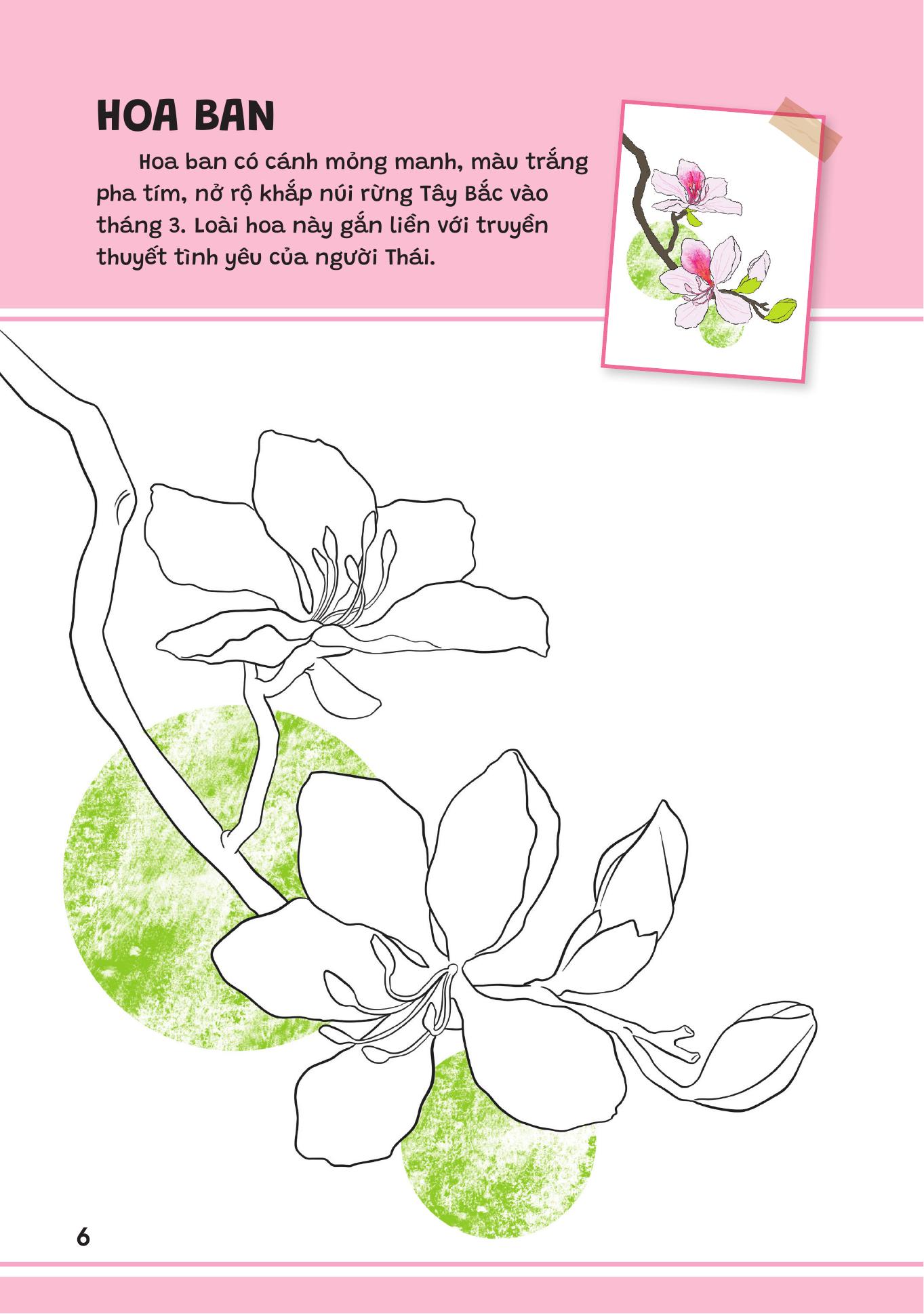 Yeu Qua Viet Nam - Cac Loai Hoa