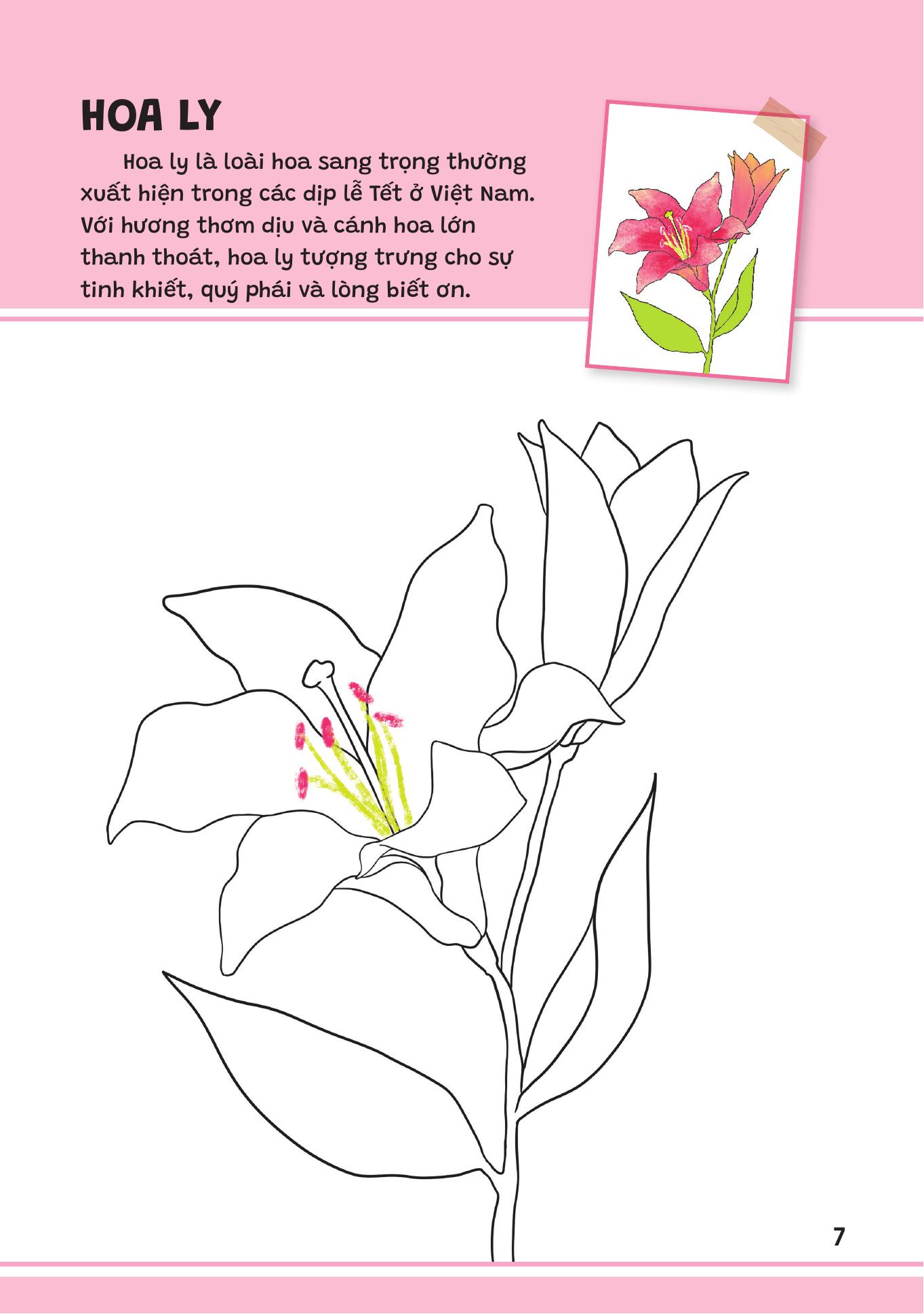 Yeu Qua Viet Nam - Cac Loai Hoa