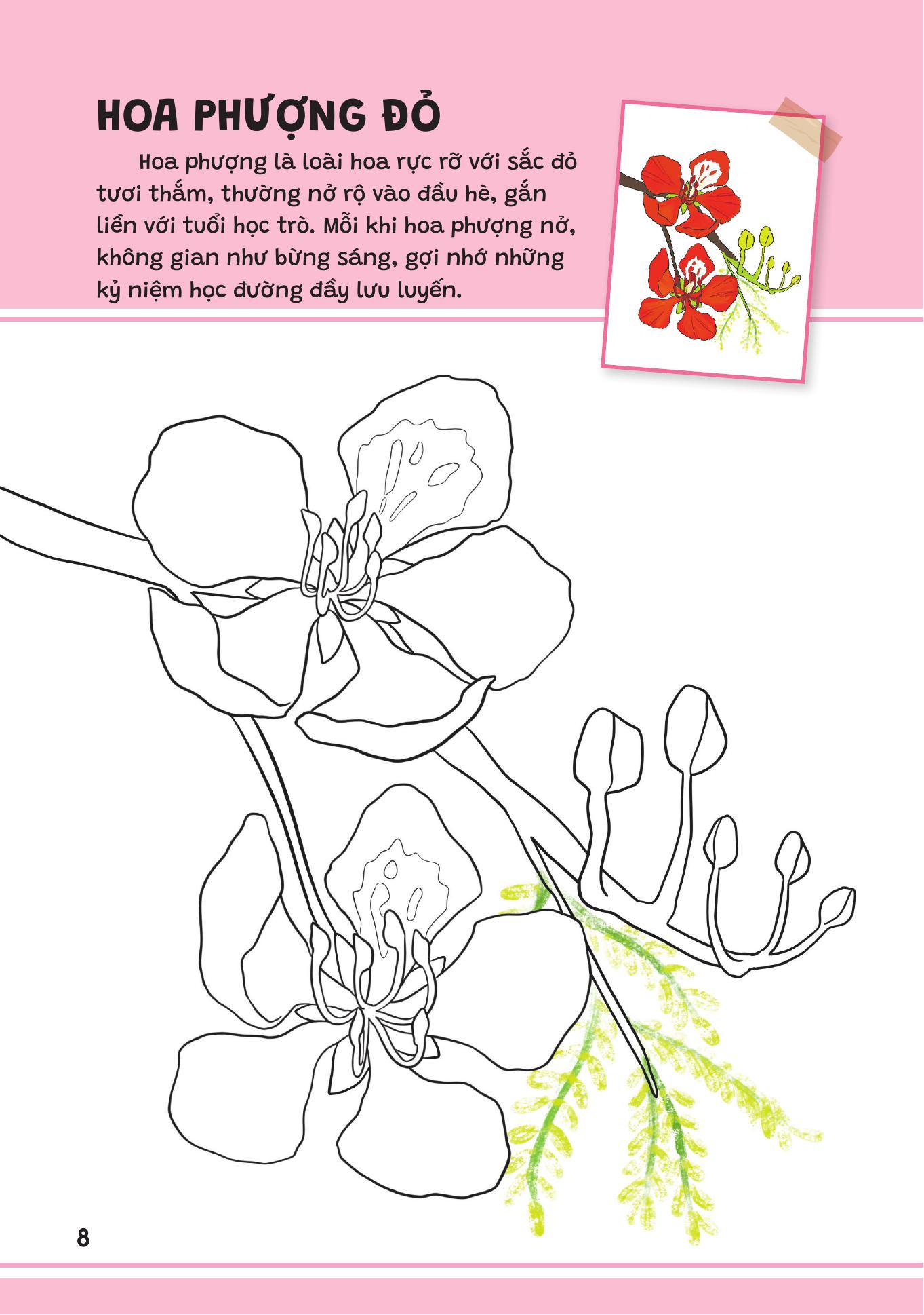 Yeu Qua Viet Nam - Cac Loai Hoa