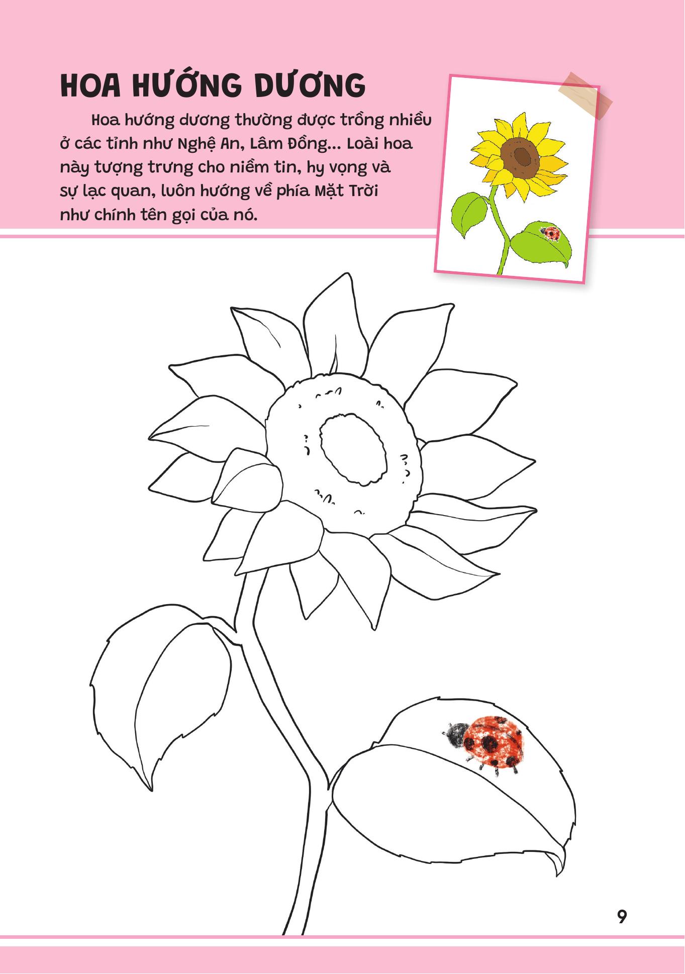 Yeu Qua Viet Nam - Cac Loai Hoa