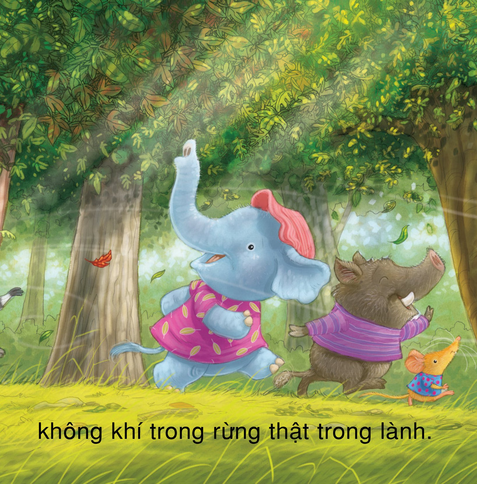 yêu rừng theo cách riêng của trẻ - vì sao tớ yêu rừng