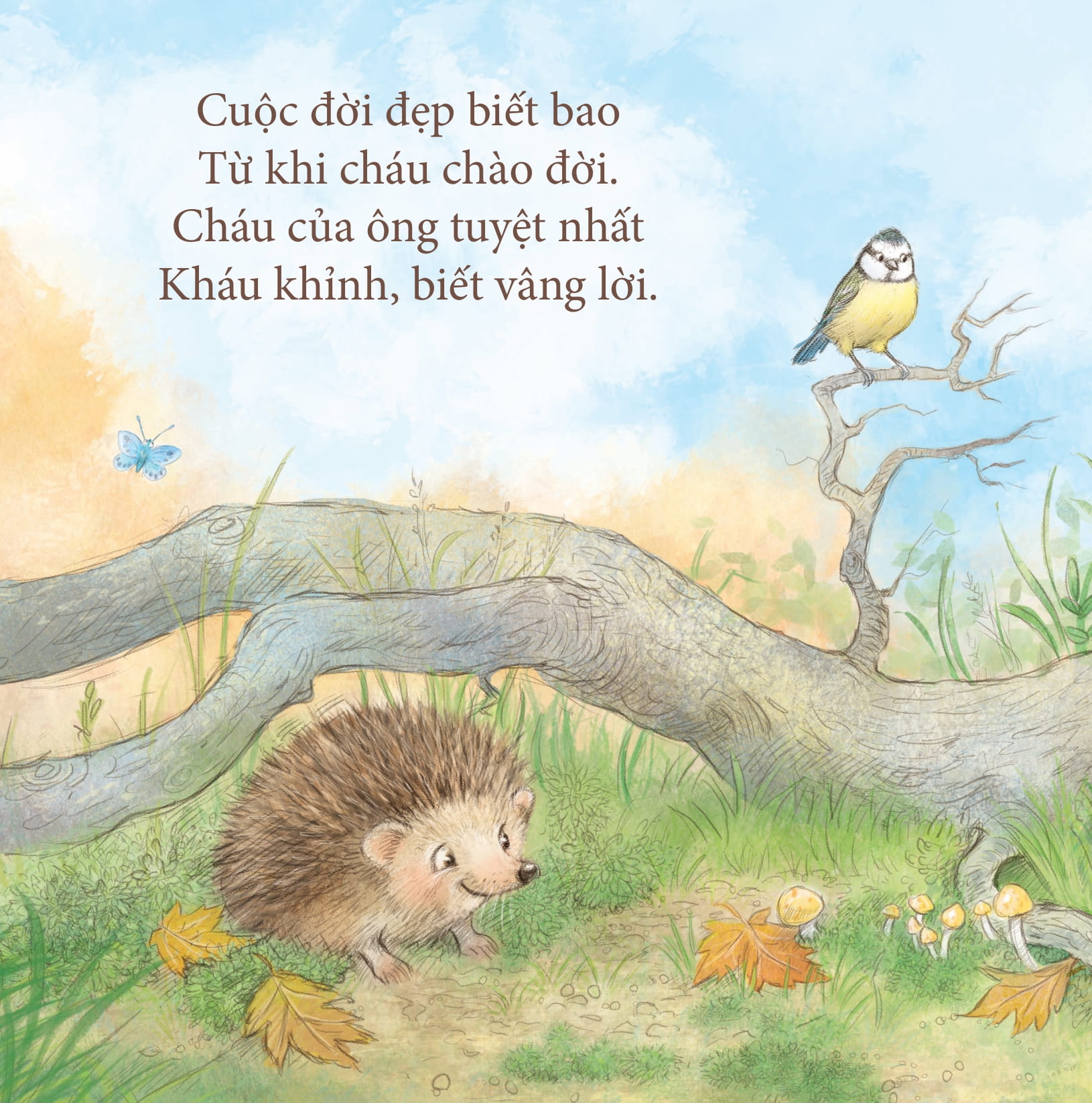 yêu thương cho con - ông yêu bé