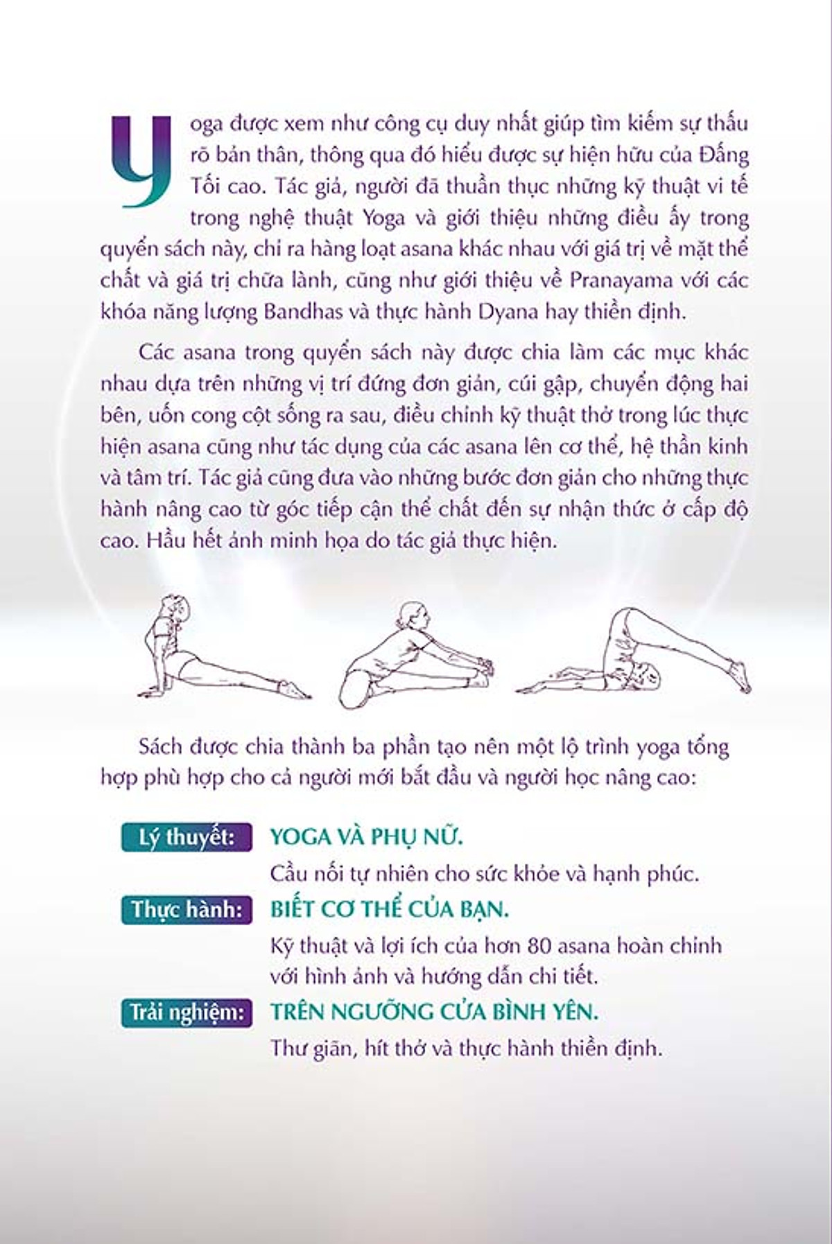 yoga - viên ngọc quý của nữ giới - vẻ đẹp thực hành và chuyển hoá sâu sắc