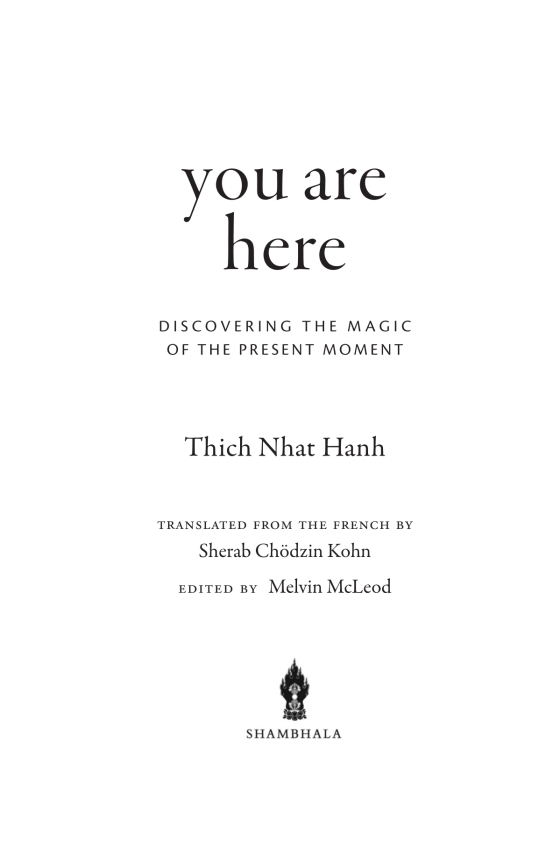you are here - discovering the magic of the present moment