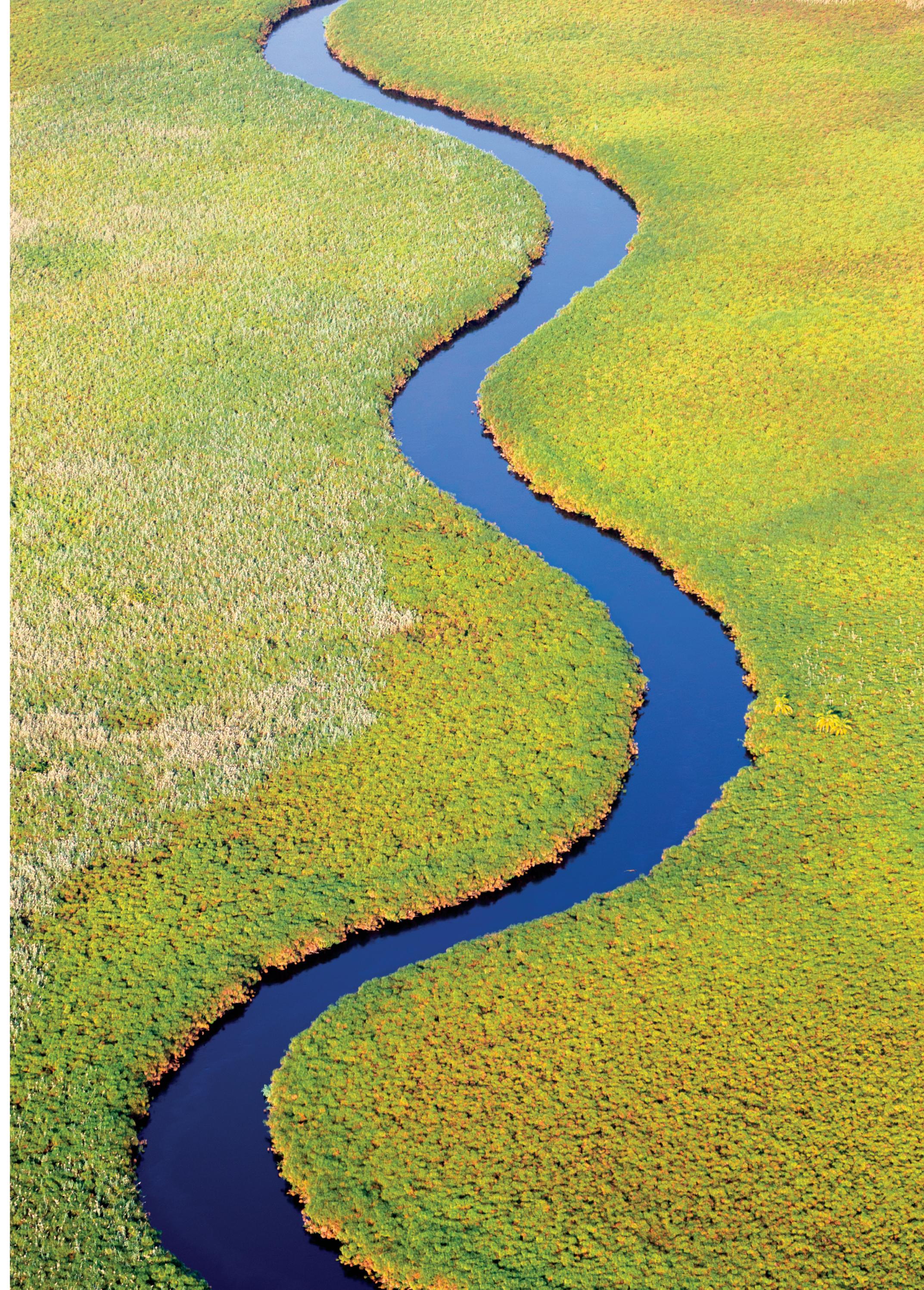 young eli readers - wonders - stage 3 b1.1 - downloadable audio files