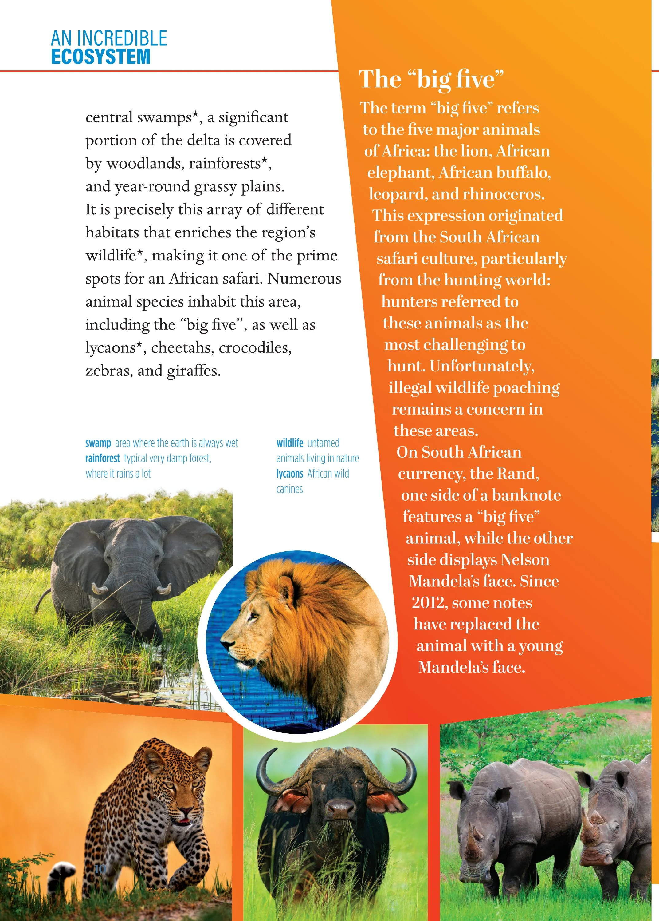 young eli readers - wonders - stage 3 b1.1 - downloadable audio files