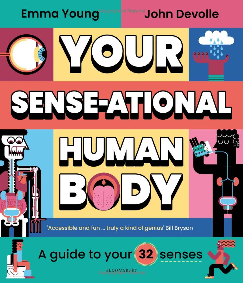 your sense-ational human body