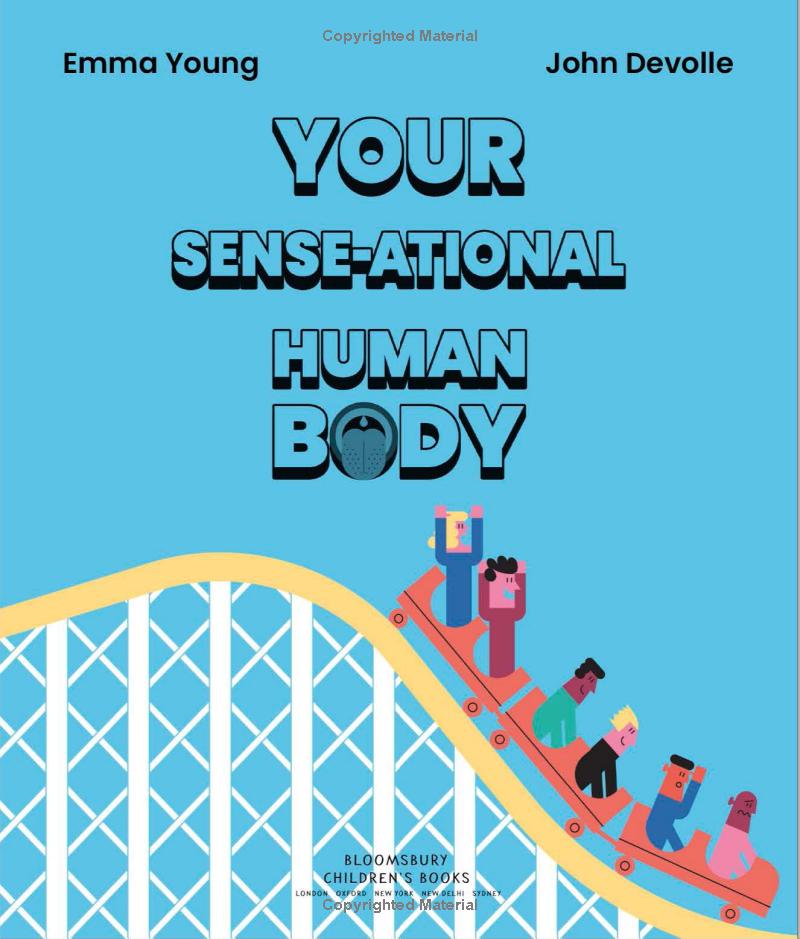 your sense-ational human body