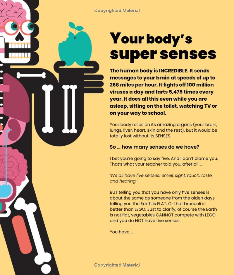 your sense-ational human body