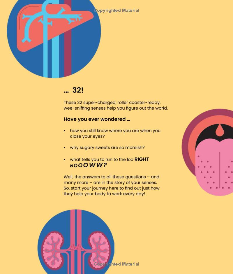 your sense-ational human body