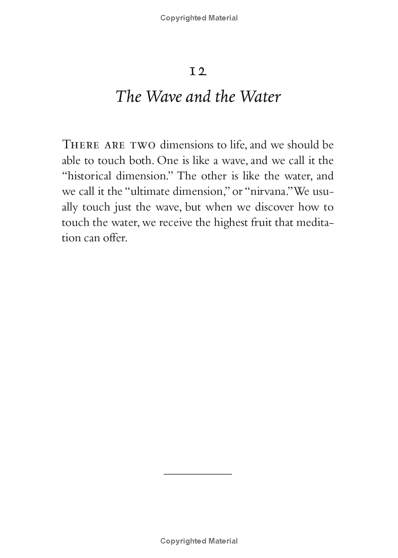 your true home: the everyday wisdom of thich nhat hanh