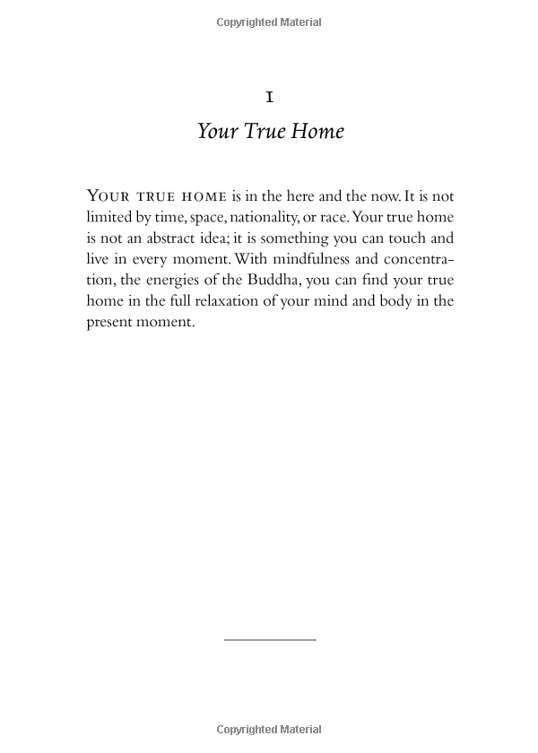 your true home: the everyday wisdom of thich nhat hanh