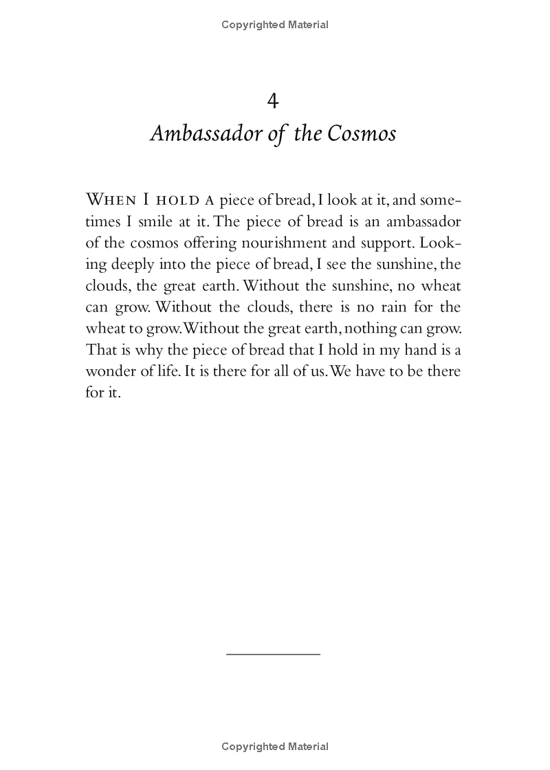your true home: the everyday wisdom of thich nhat hanh