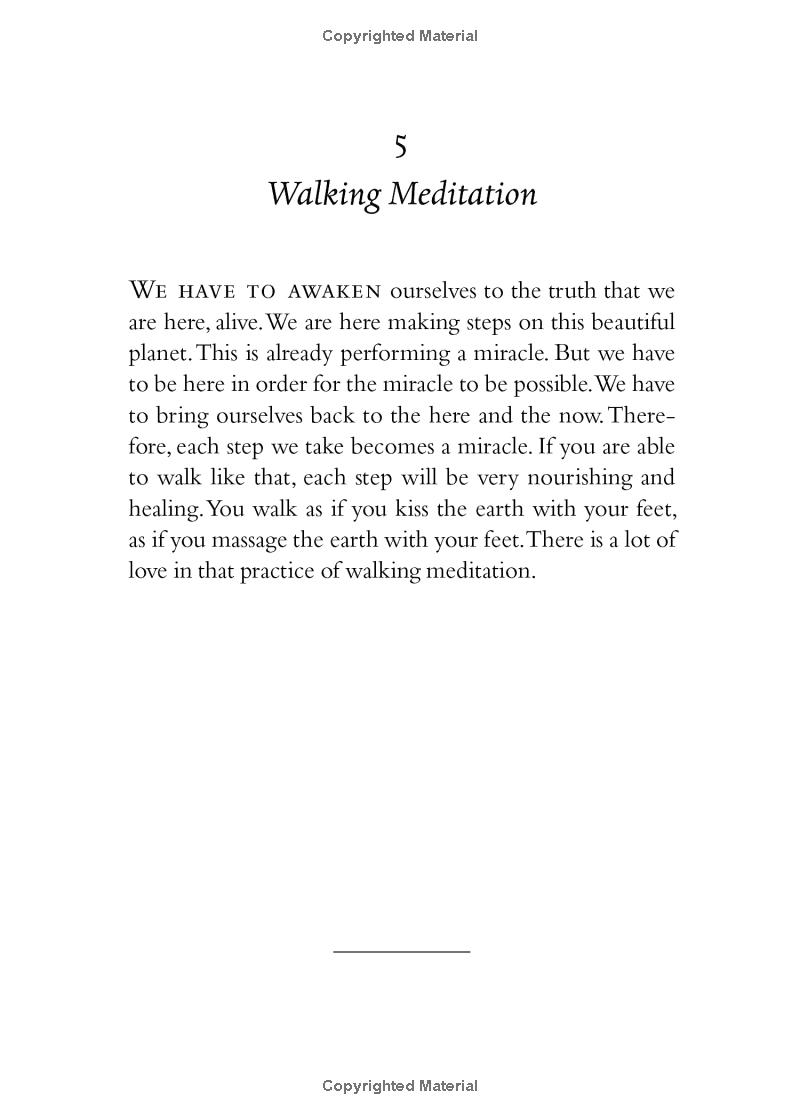 your true home: the everyday wisdom of thich nhat hanh