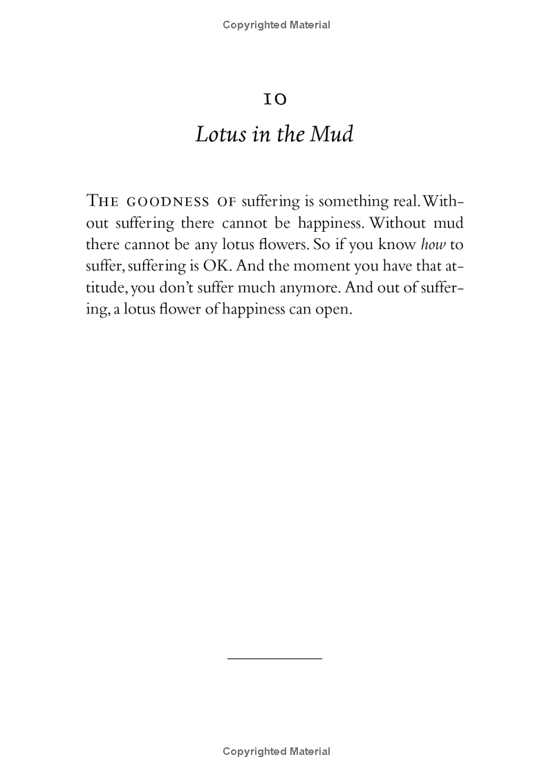 your true home: the everyday wisdom of thich nhat hanh