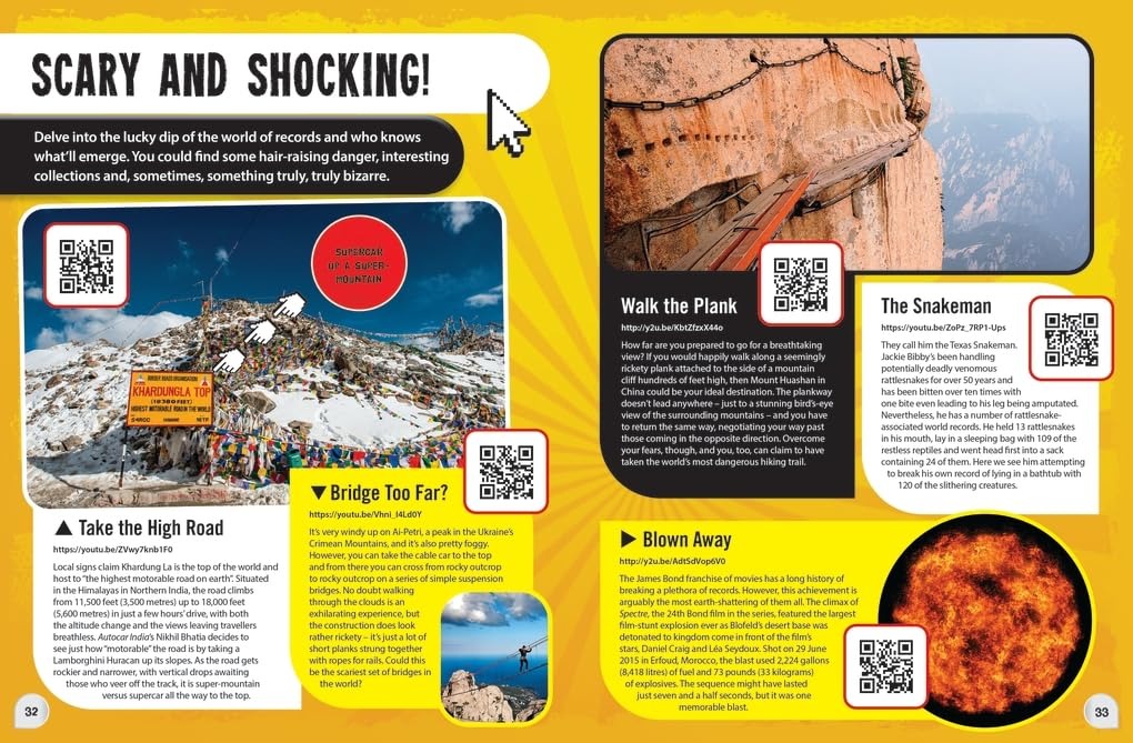 Youtube World Records 2025