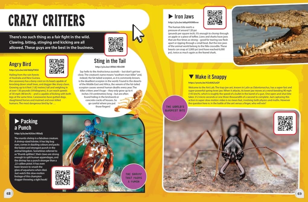 Youtube World Records 2025