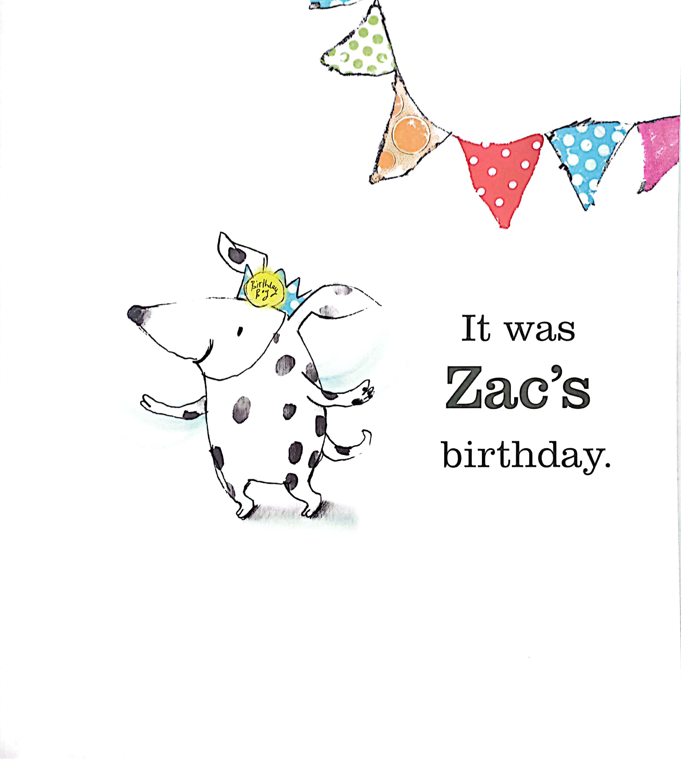 zac and zeb and the make believe birthday party (zac & zeb)