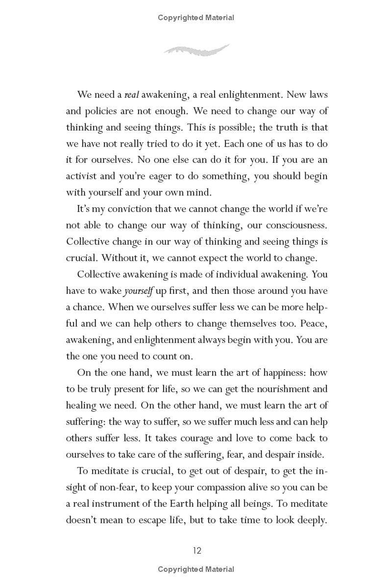 zen and the art of saving the planet