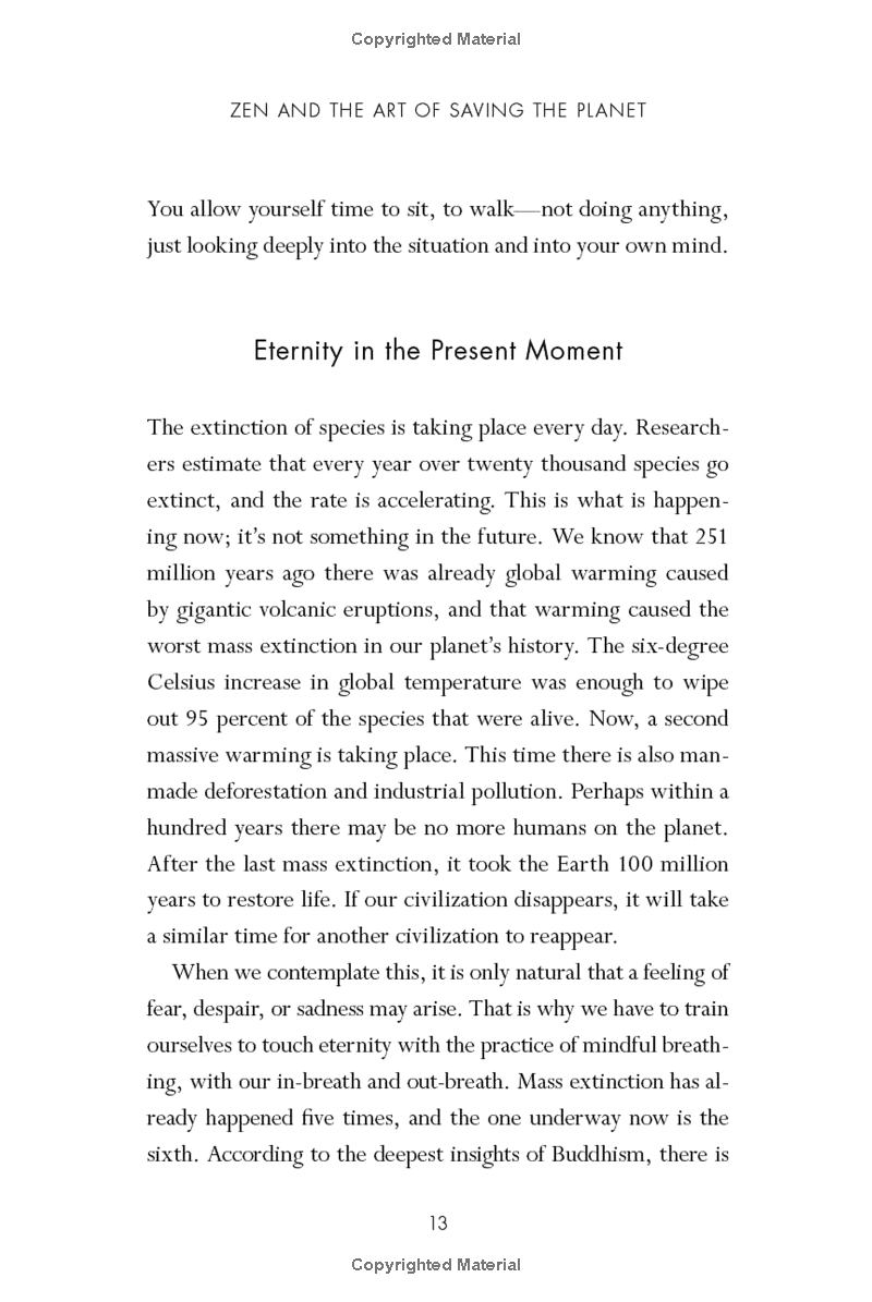 zen and the art of saving the planet