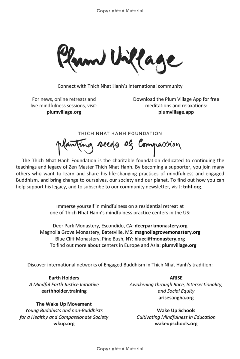 zen and the art of saving the planet